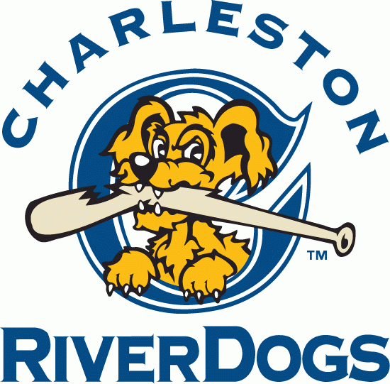 Charleston Riverdogs 1996-2010 Primary Logo iron on paper